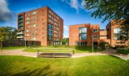 Onderhoud Waalboog Honinghoeve te Nijmegen